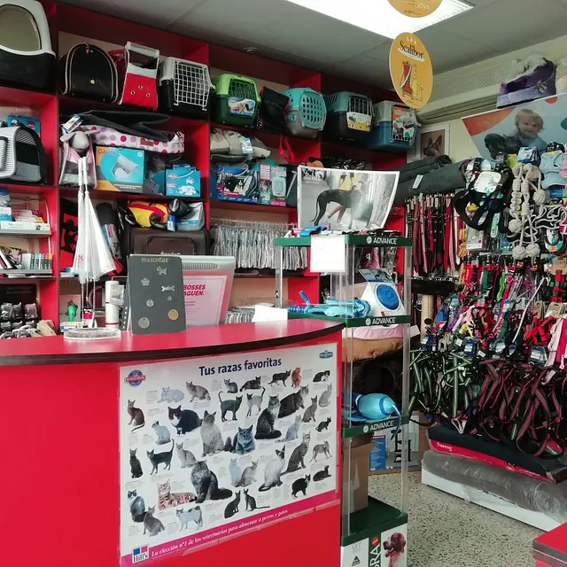 Serveis Veterinaris recepción 
